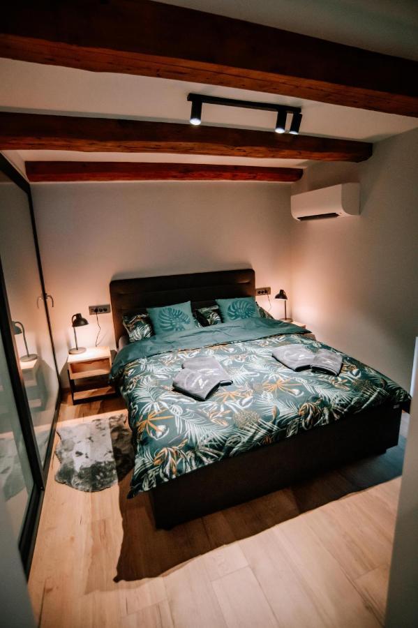 אוסילק Apartman Saturn מראה חיצוני תמונה