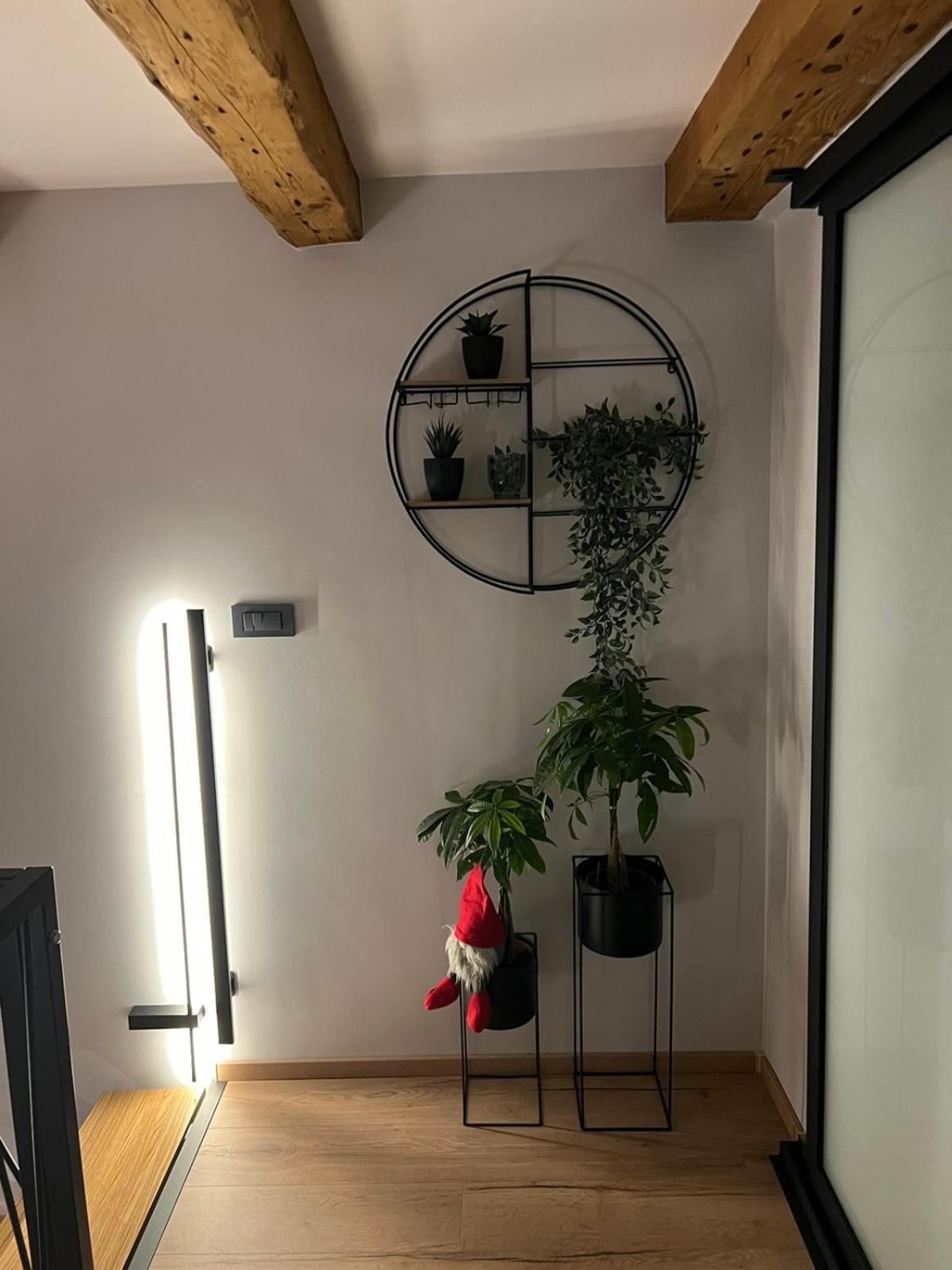 אוסילק Apartman Saturn מראה חיצוני תמונה